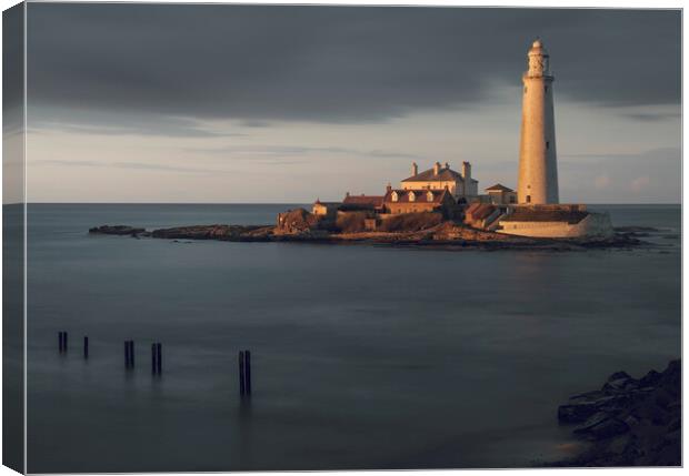 St Marys Lighthouse  Canvas Print by Anthony McGeever