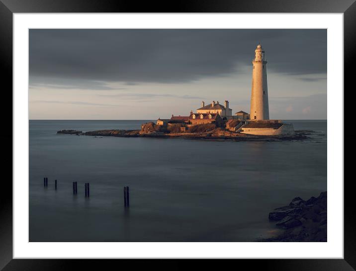 St Marys Lighthouse  Framed Mounted Print by Anthony McGeever