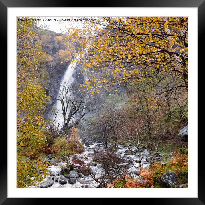 Aber Falls or Rhaeadr Fawr Waterfall in Autumn Framed Mounted Print by Pearl Bucknall
