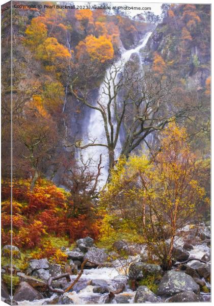 Aber Falls or Rhaeadr Fawr Waterfall in Autumn Canvas Print by Pearl Bucknall
