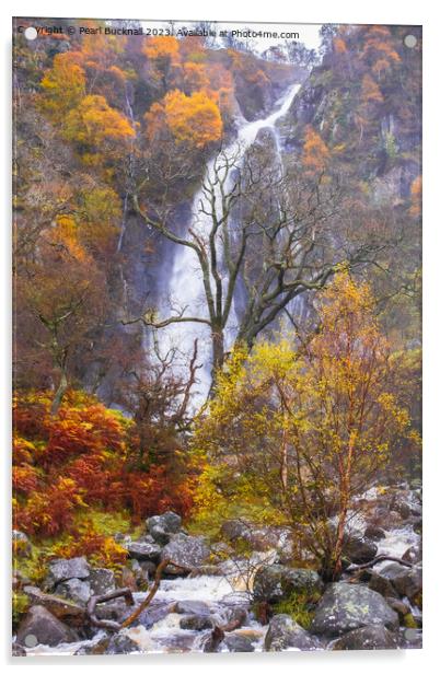 Aber Falls or Rhaeadr Fawr Waterfall in Autumn Acrylic by Pearl Bucknall