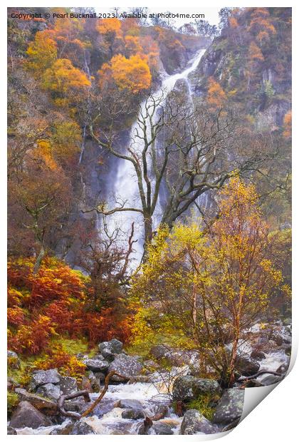 Aber Falls or Rhaeadr Fawr Waterfall in Autumn Print by Pearl Bucknall