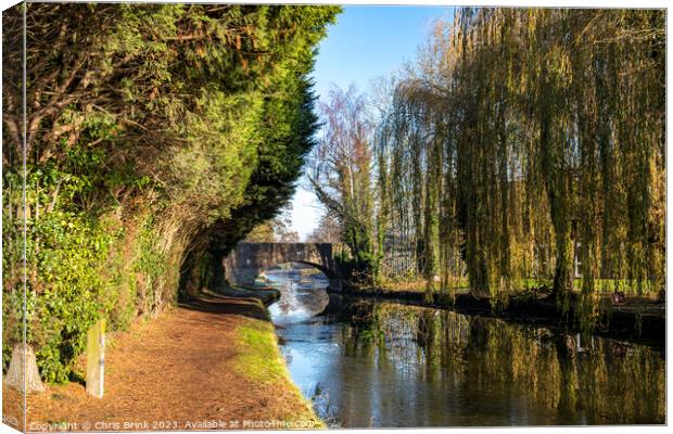 Bridge over Trent & Mersey canal in Cheshire UK Canvas Print by Chris Brink