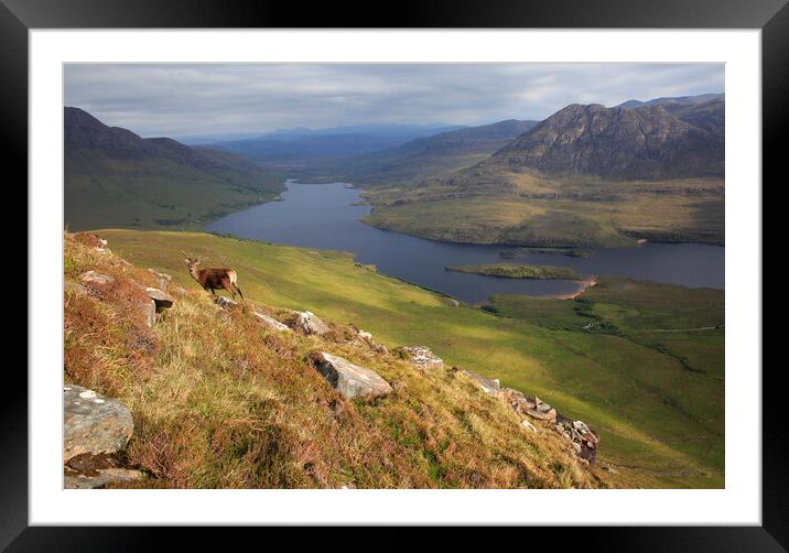 Stag in the Scottish highland mountains Framed Mounted Print by MIKE HUTTON