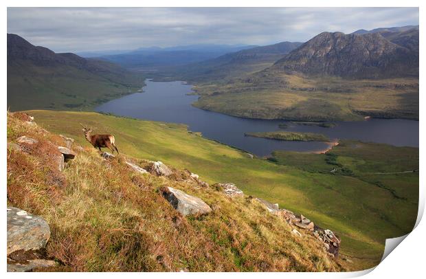 Stag in the Scottish highland mountains Print by MIKE HUTTON