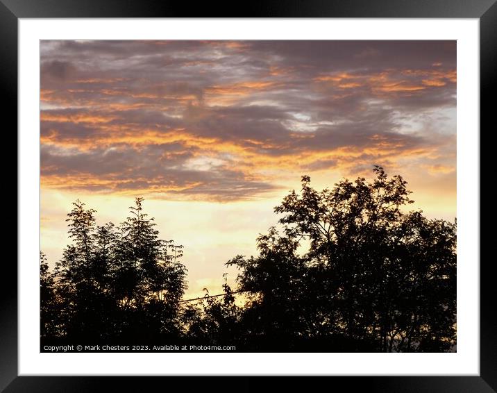 Serene Trees Embraced by the Setting Sun Framed Mounted Print by Mark Chesters
