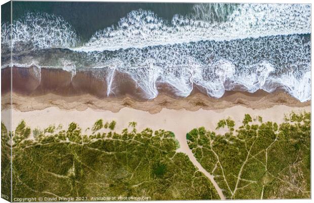 Shoreline Canvas Print by David Pringle