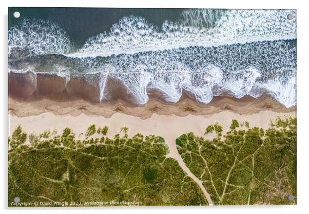 Shoreline Acrylic by David Pringle