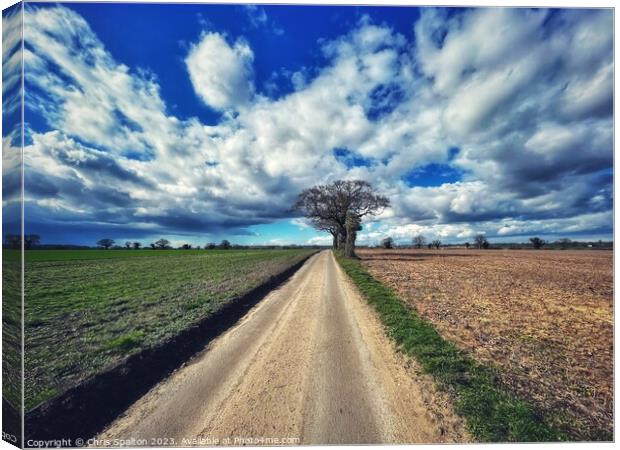 Outdoor road with big sky and tree Norfolk Canvas Print by Chris Spalton