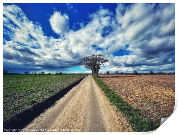 Outdoor road with big sky and tree Norfolk Print by Chris Spalton