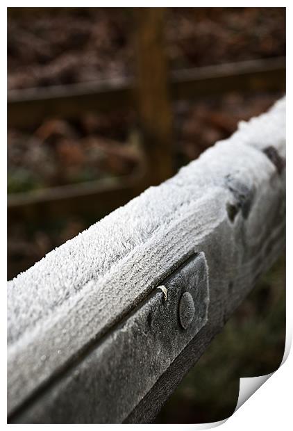 Frosty gate Print by Steve Purnell