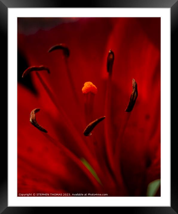 Red Glow Framed Mounted Print by STEPHEN THOMAS