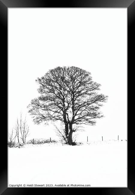 Enchanting Winter Wonderland Framed Print by Heidi Stewart