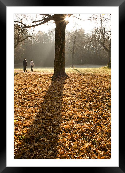 Autumn stroll Framed Mounted Print by Ian Middleton