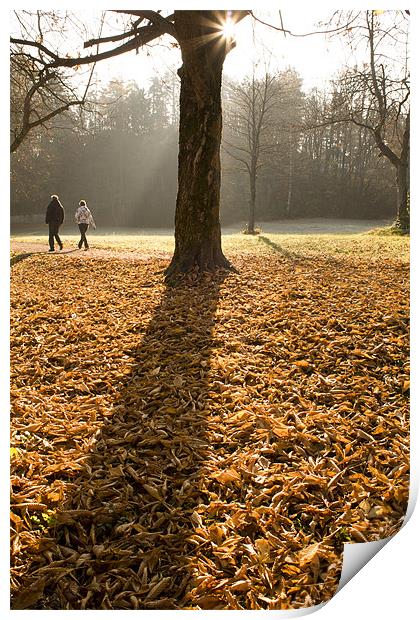Autumn stroll Print by Ian Middleton