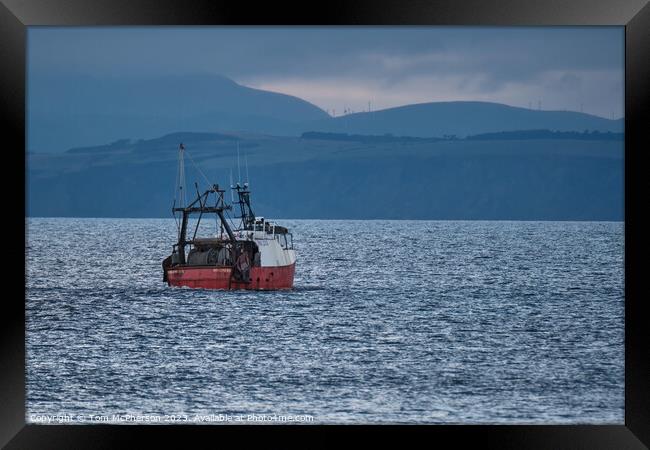 Solitude on the Moray Firth Framed Print by Tom McPherson