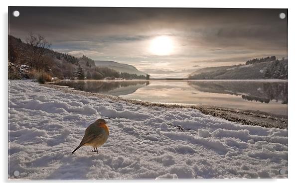 Llwyn Onn winter landscape Acrylic by Creative Photography Wales