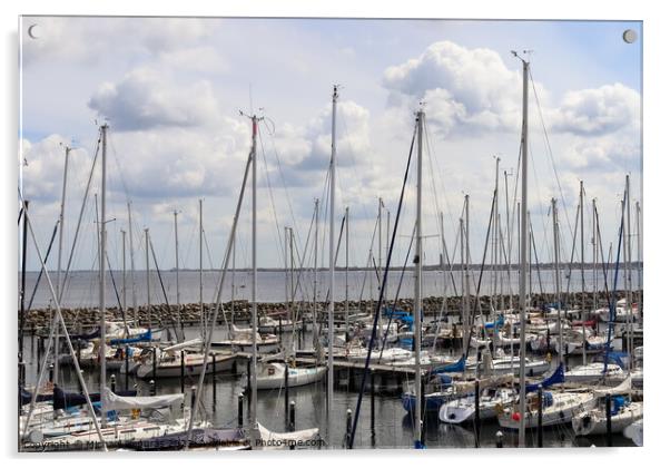 Lots of boats at the Marina in Schilksee close to Kiel in German Acrylic by Michael Piepgras
