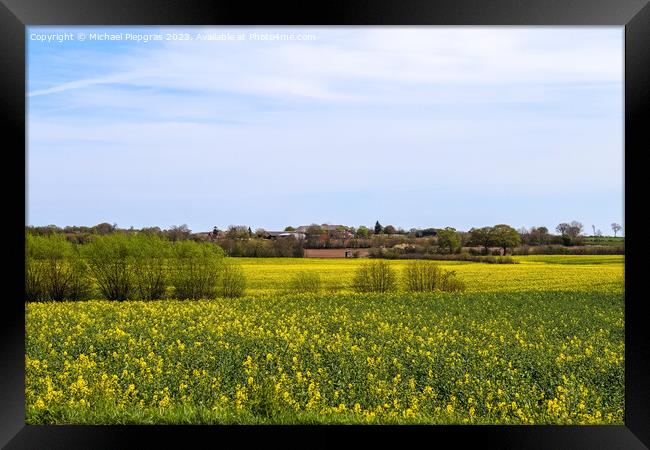 Yellow field of flowering rape and tree against a blue sky with  Framed Print by Michael Piepgras