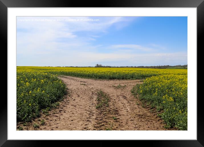 Tire tracks in a yellow field of flowering rape against a blue s Framed Mounted Print by Michael Piepgras