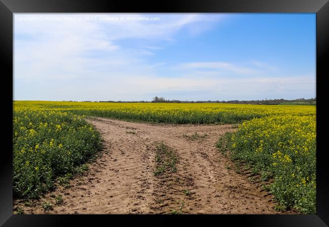 Tire tracks in a yellow field of flowering rape against a blue s Framed Print by Michael Piepgras