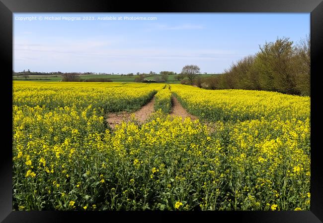 Yellow field of flowering rape and tree against a blue sky with  Framed Print by Michael Piepgras