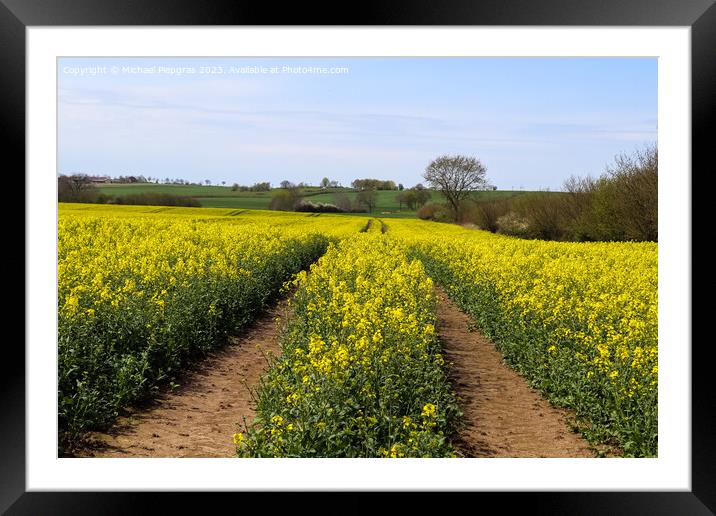 Tire tracks in a yellow field of flowering rape against a blue s Framed Mounted Print by Michael Piepgras
