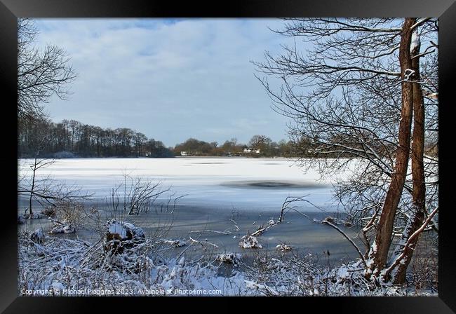 Beautiful winter shot at a lake and forest with snow and ice. Framed Print by Michael Piepgras
