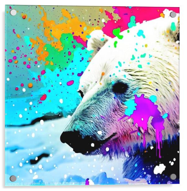 POLAR BEAR 10 Acrylic by OTIS PORRITT