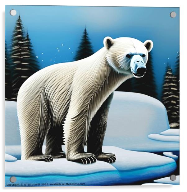 POLAR BEARS Acrylic by OTIS PORRITT