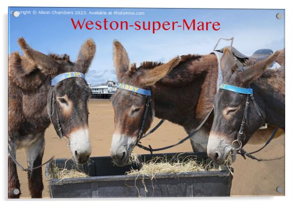 Weston super Mare Donkeys Acrylic by Alison Chambers