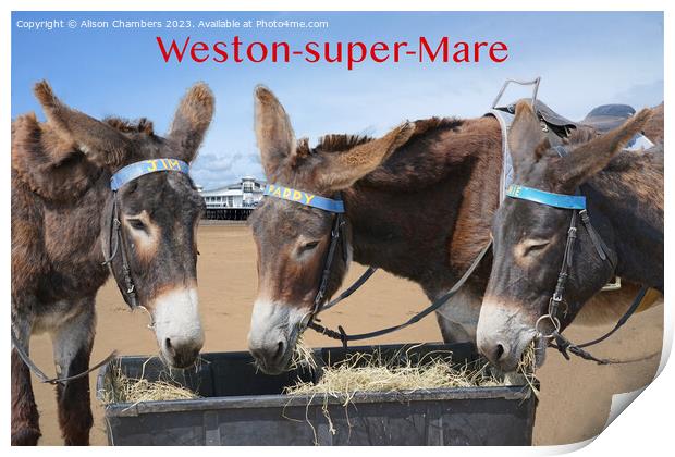 Weston super Mare Donkeys Print by Alison Chambers