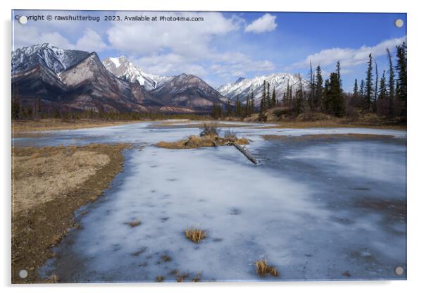 Winter Magic on the Athabasca River Acrylic by rawshutterbug 