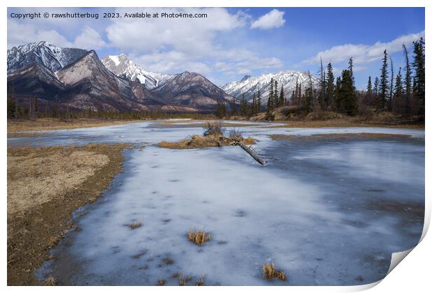 Winter Magic on the Athabasca River Print by rawshutterbug 