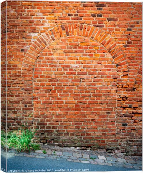 Bricked Up Doorway Arch Canvas Print by Antony McAulay