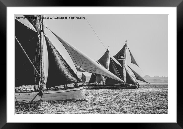 Sailing Barges On The Blackwater River Framed Mounted Print by Peter F Hunt