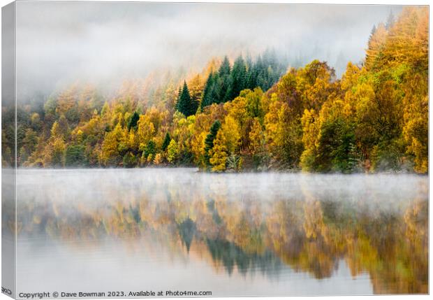 Autumn Mist Canvas Print by Dave Bowman