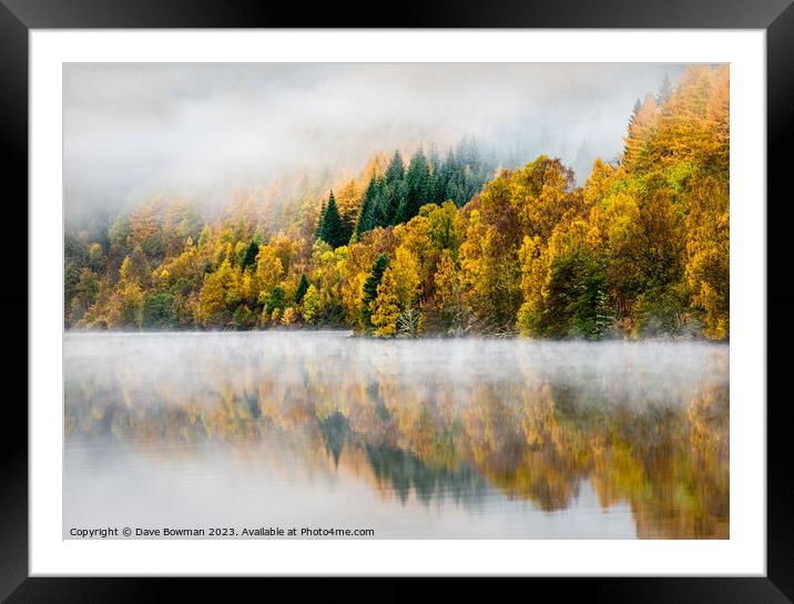 Autumn Mist Framed Mounted Print by Dave Bowman