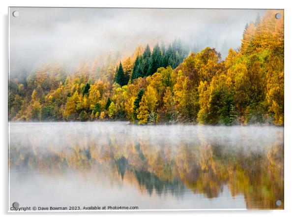 Autumn Mist Acrylic by Dave Bowman
