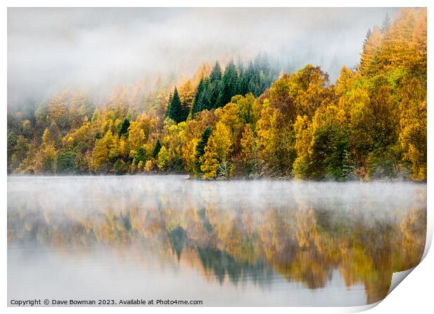 Autumn Mist Print by Dave Bowman