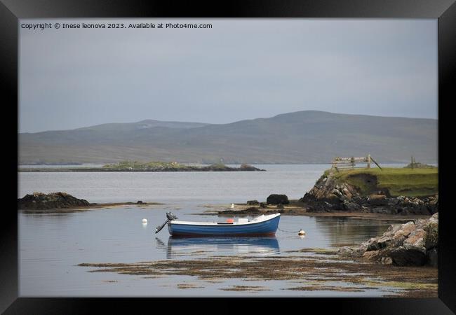 seaside in Shetland Framed Print by Inese leonova