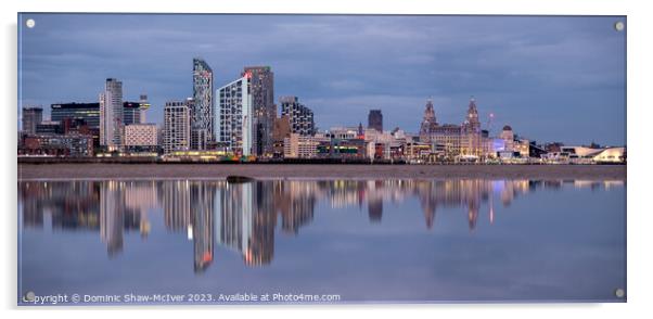 Liverpool in a pool Acrylic by Dominic Shaw-McIver