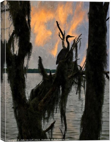 Serene Reflections Canvas Print by dale rys (LP)