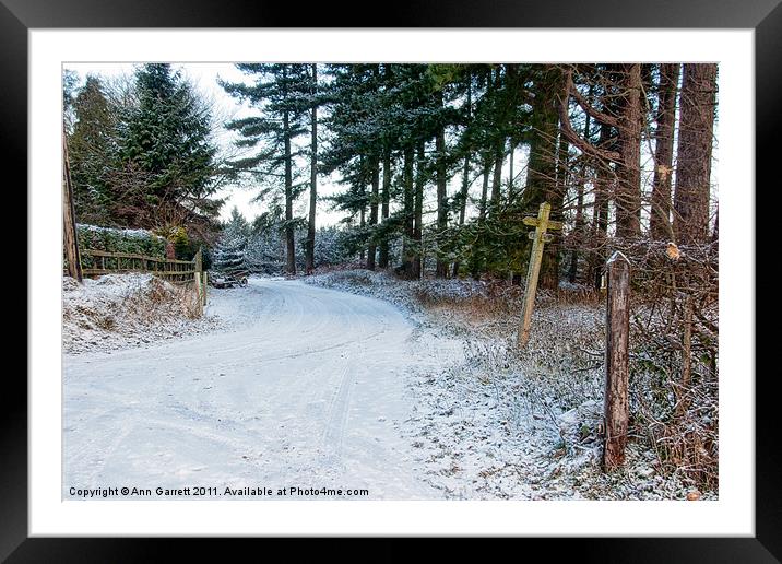 Snow Covered Forest Road Framed Mounted Print by Ann Garrett