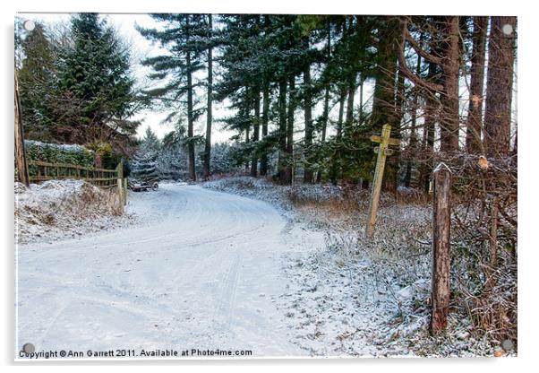 Snow Covered Forest Road Acrylic by Ann Garrett