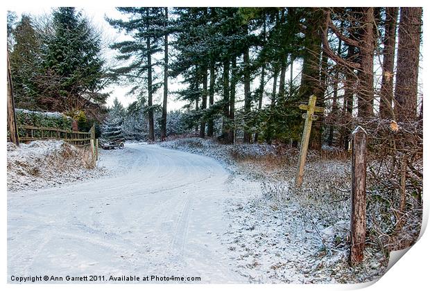 Snow Covered Forest Road Print by Ann Garrett