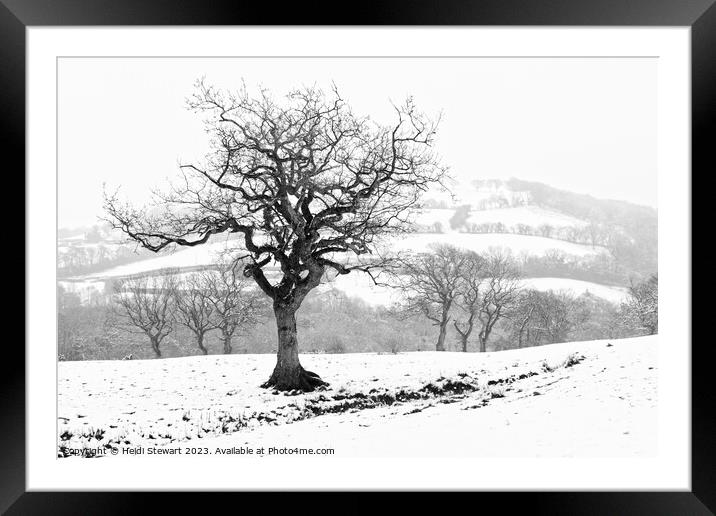 Snowy Serenity Framed Mounted Print by Heidi Stewart