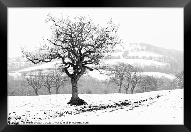 Snowy Serenity Framed Print by Heidi Stewart