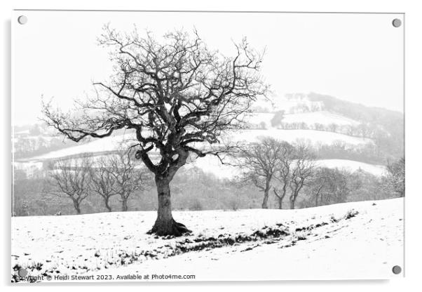 Snowy Serenity Acrylic by Heidi Stewart