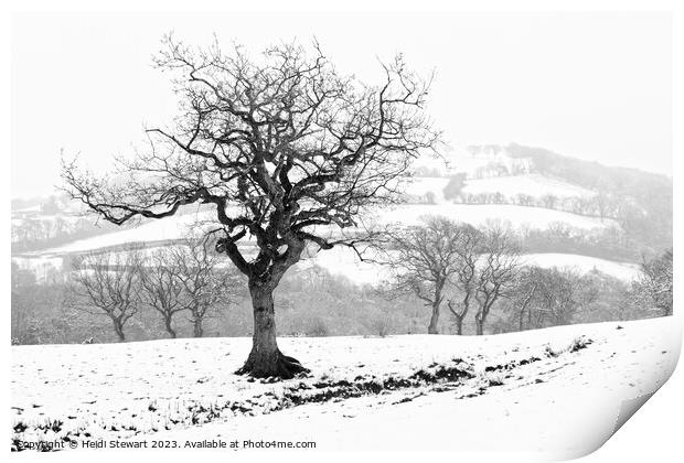 Snowy Serenity Print by Heidi Stewart